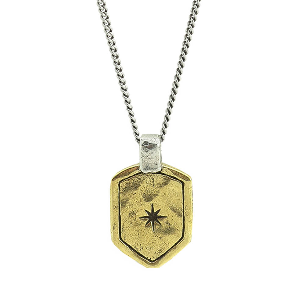 Waxing Poetic Star Shield Necklace -  Sterling Silver and Brass - 61cm